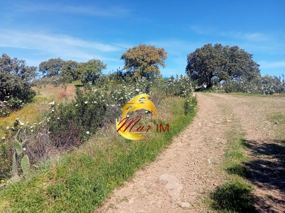 Terreno Agricola ou Rústico para Venda em Odeleite Foto 1