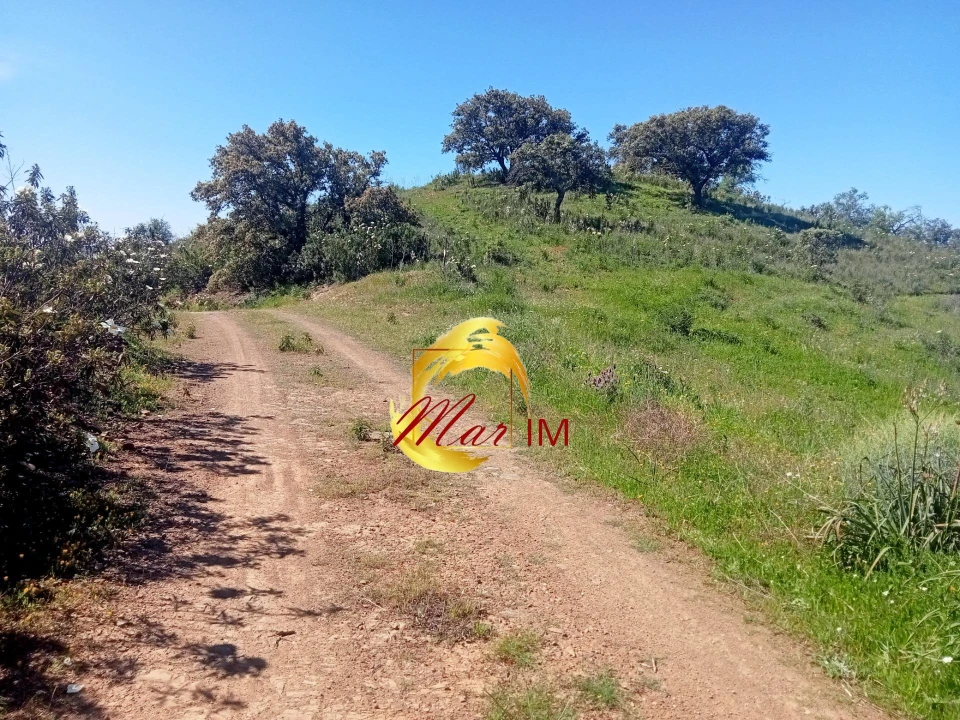 Terreno Agricola ou Rústico para Venda em Odeleite Foto 13