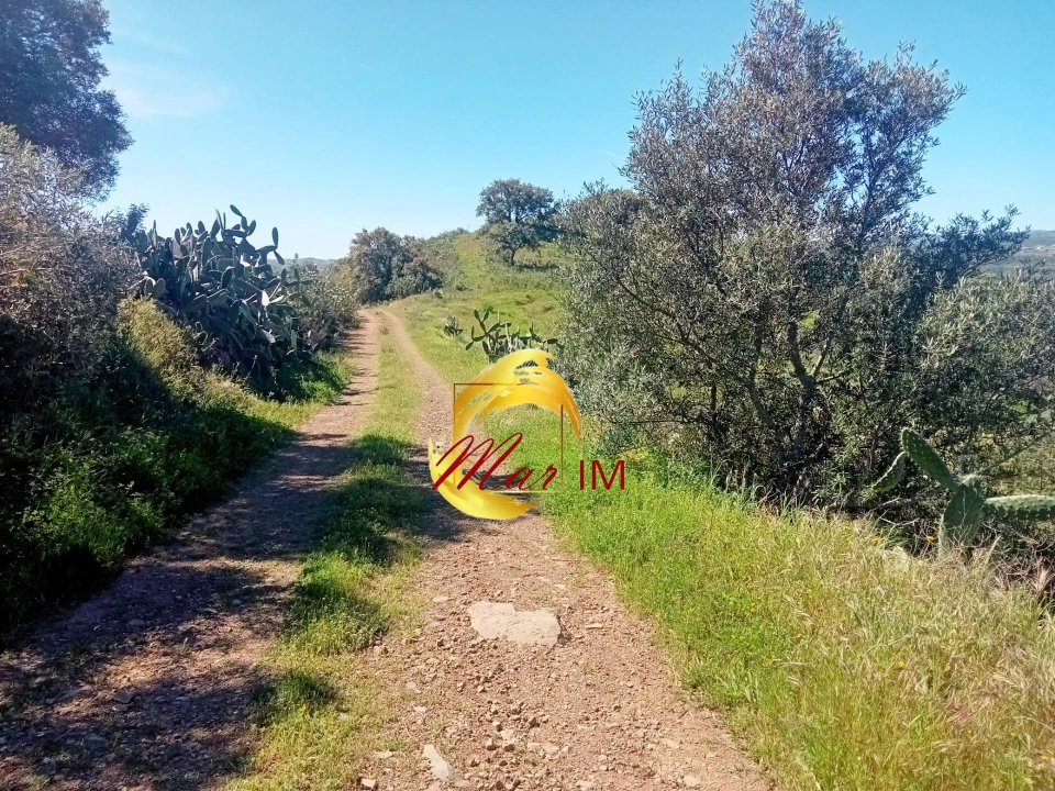 Terreno Agricola ou Rústico para Venda em Odeleite Foto 15