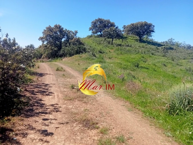 Terreno Agricola ou Rústico para Venda em Odeleite Foto 12