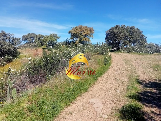 Terreno Agricola ou Rústico para Venda em Odeleite Foto 14
