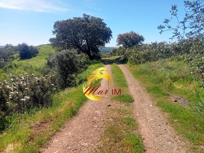 Terreno Agricola ou Rústico para Venda em Odeleite Foto 19