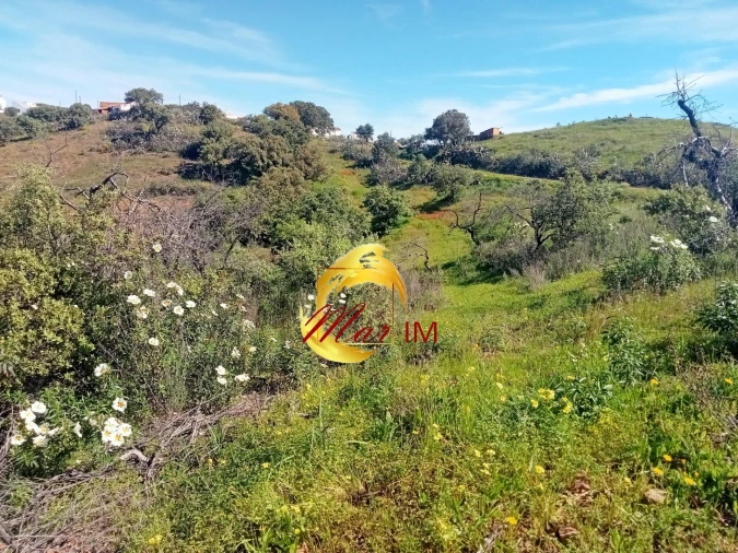 Terreno Agricola ou Rústico para Venda em Odeleite Foto 4