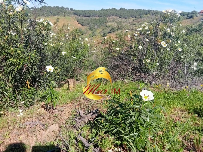 Terreno Agricola ou Rústico para Venda em Odeleite Foto 6