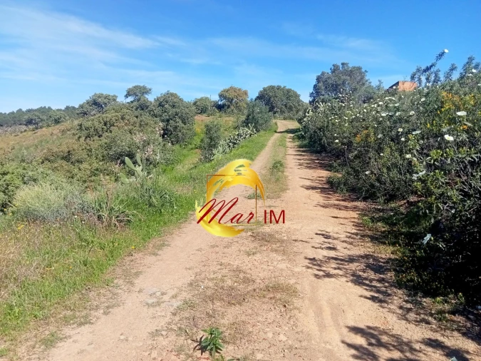 Terreno Agricola ou Rústico para Venda em Odeleite Foto 12