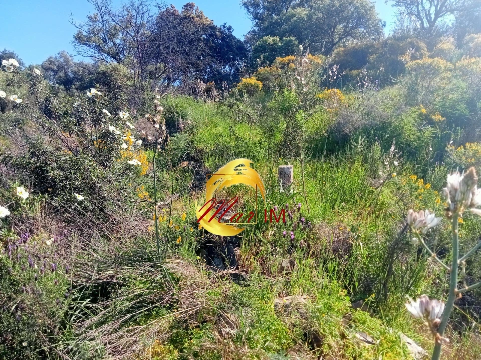 Terreno Agricola ou Rústico para Venda em Odeleite Foto 12