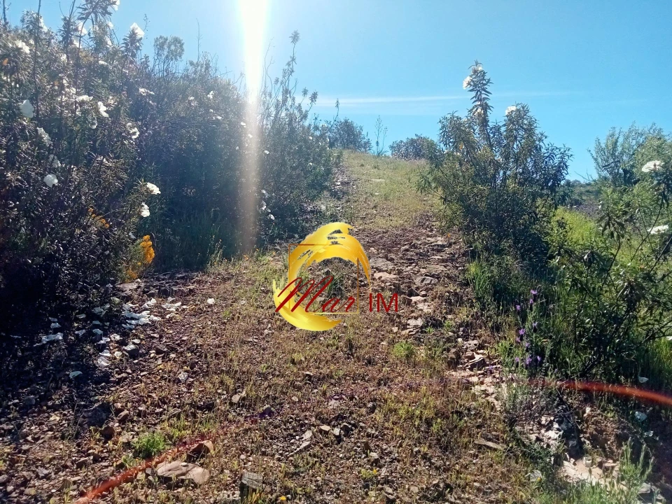Terreno Agricola ou Rústico para Venda em Odeleite Foto 15