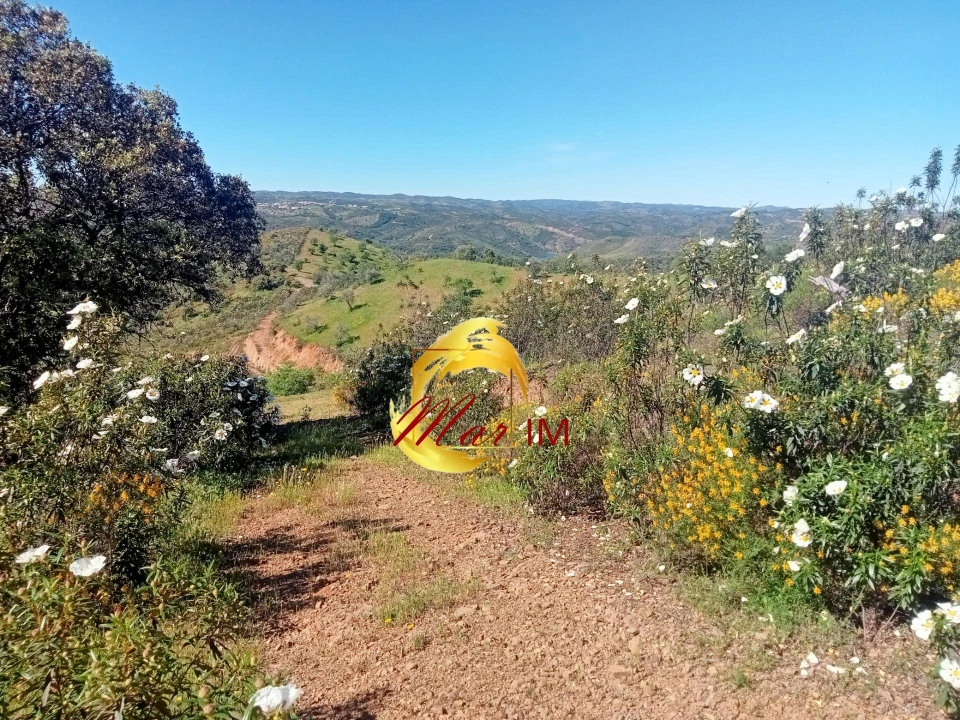 Terreno Agricola ou Rústico para Venda em Odeleite Foto 5