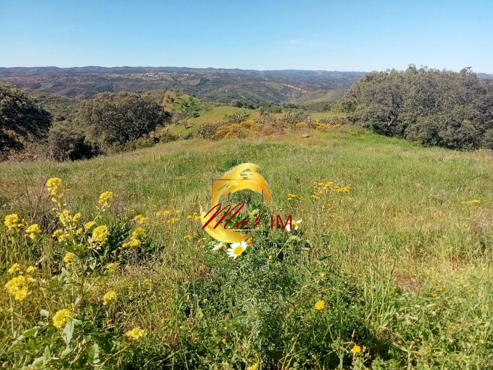 Terreno Agricola ou Rústico para Venda em Odeleite Foto 6