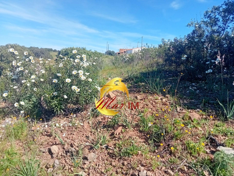 Terreno Agricola ou Rústico para Venda em Odeleite Foto 7
