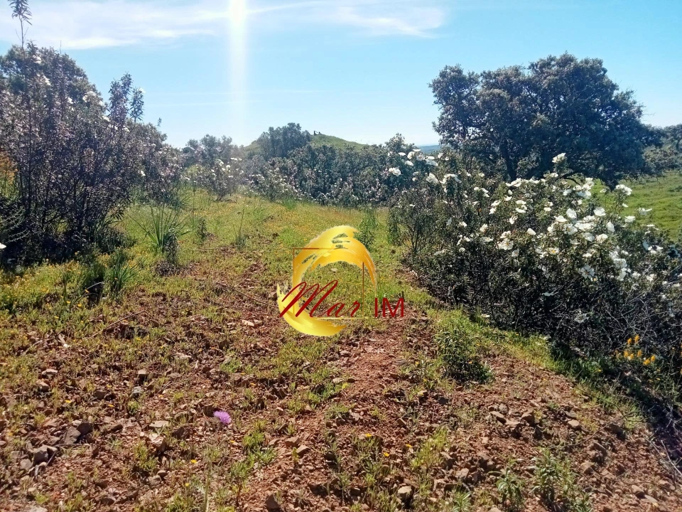 Terreno Agricola ou Rústico para Venda em Odeleite Foto 9