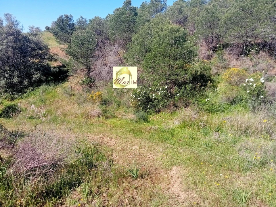 Terreno Agricola ou Rústico para Venda em Odeleite Foto 1