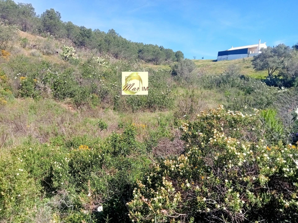 Terreno Agricola ou Rústico para Venda em Odeleite Foto 11