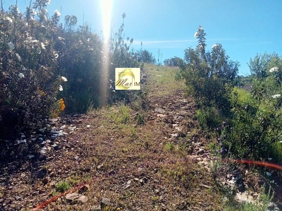 Terreno Agricola ou Rústico para Venda em Odeleite Foto 15