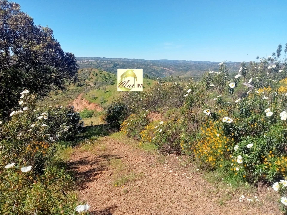 Terreno Agricola ou Rústico para Venda em Odeleite Foto 4