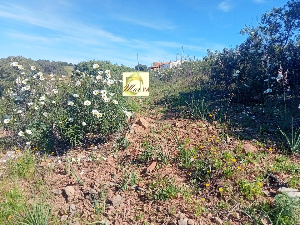 Terreno Agricola ou Rústico para Venda em Odeleite Foto 6