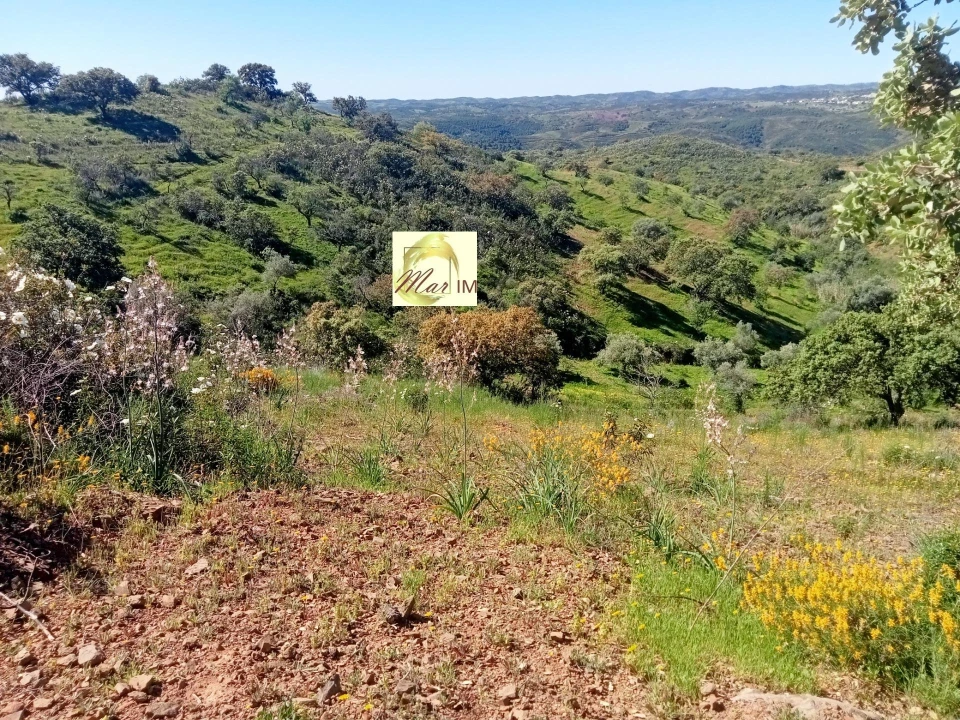 Terreno Agricola ou Rústico para Venda em Odeleite Foto 7