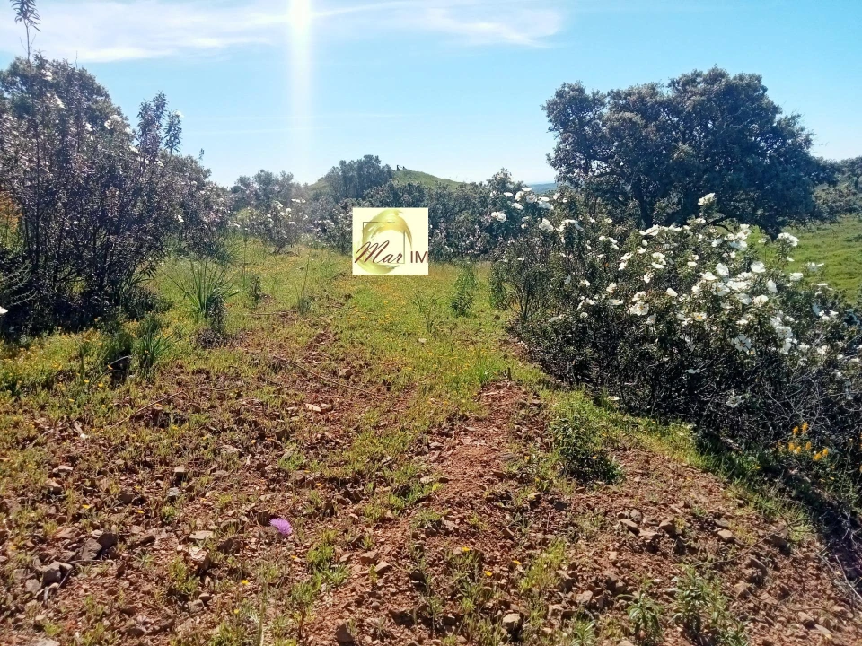 Terreno Agricola ou Rústico para Venda em Odeleite Foto 8