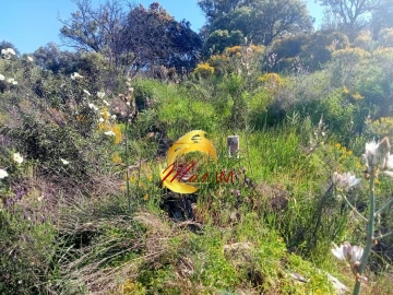 Terreno Agricola ou Rústico para Venda em Odeleite