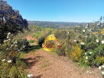 Terreno Agricola ou Rústico para Venda em Odeleite