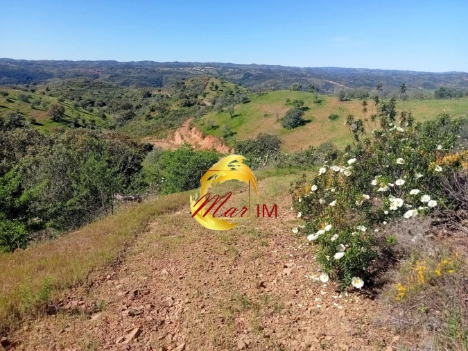 Terreno Agricola ou Rústico para Venda em Odeleite Foto 4