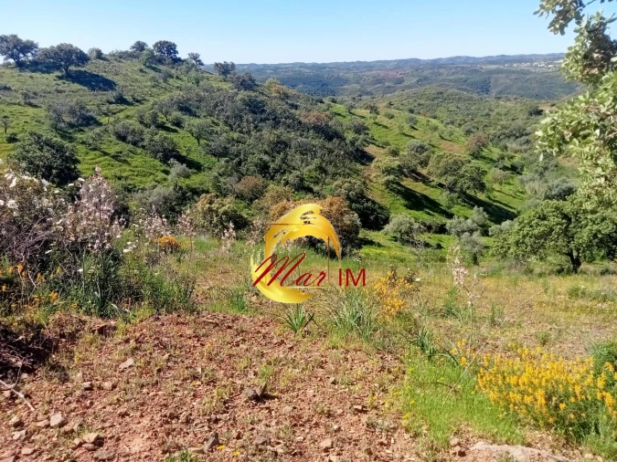 Terreno Agricola ou Rústico para Venda em Odeleite Foto 8