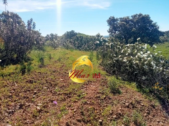 Terreno Agricola ou Rústico para Venda em Odeleite Foto 9