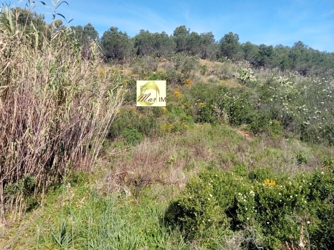 Terreno Agricola ou Rústico para Venda em Odeleite Foto 10