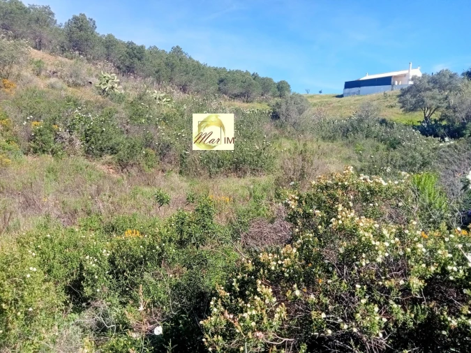 Terreno Agricola ou Rústico para Venda em Odeleite Foto 11