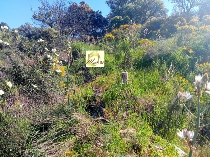 Terreno Agricola ou Rústico para Venda em Odeleite Foto 12