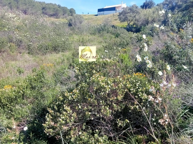 Terreno Agricola ou Rústico para Venda em Odeleite Foto 13