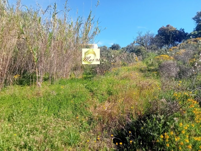 Terreno Agricola ou Rústico para Venda em Odeleite Foto 14
