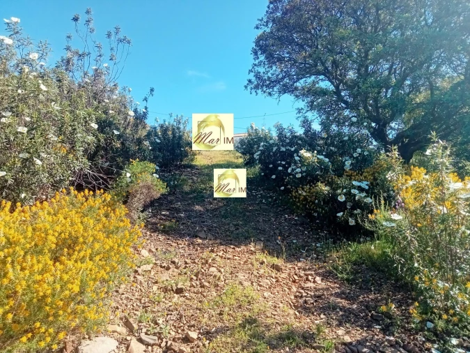 Terreno Agricola ou Rústico para Venda em Odeleite Foto 2