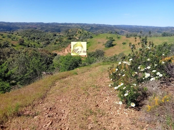 Terreno Agricola ou Rústico para Venda em Odeleite Foto 3