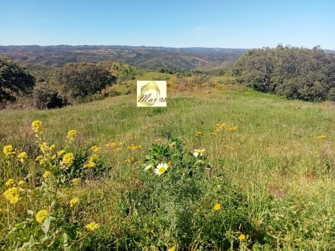 Terreno Agricola ou Rústico para Venda em Odeleite Foto 5