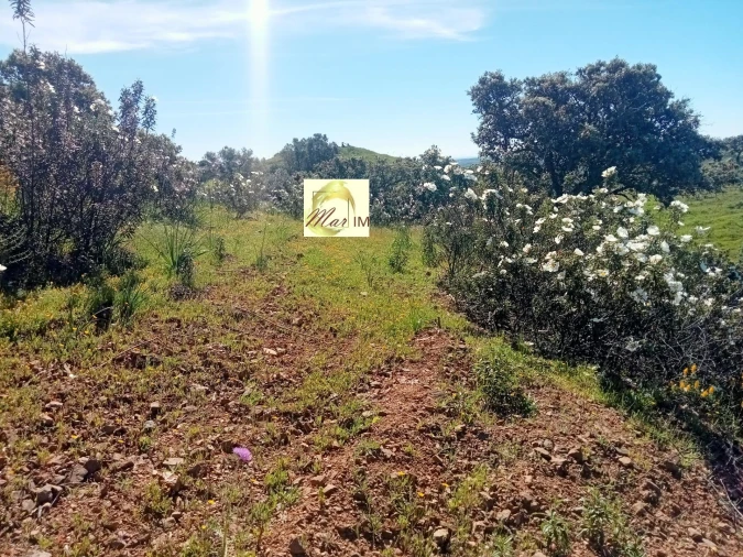 Terreno Agricola ou Rústico para Venda em Odeleite Foto 8