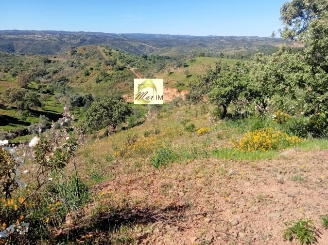 Terreno Agricola ou Rústico para Venda em Odeleite Foto 9