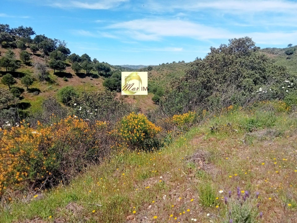 Terreno Agricola ou Rústico para Venda em Odeleite Foto 1