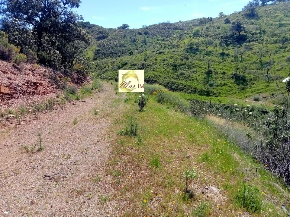 Terreno Agricola ou Rústico para Venda em Odeleite Foto 10