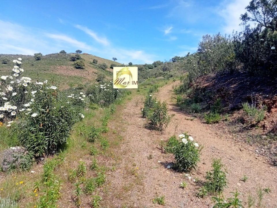Terreno Agricola ou Rústico para Venda em Odeleite Foto 12