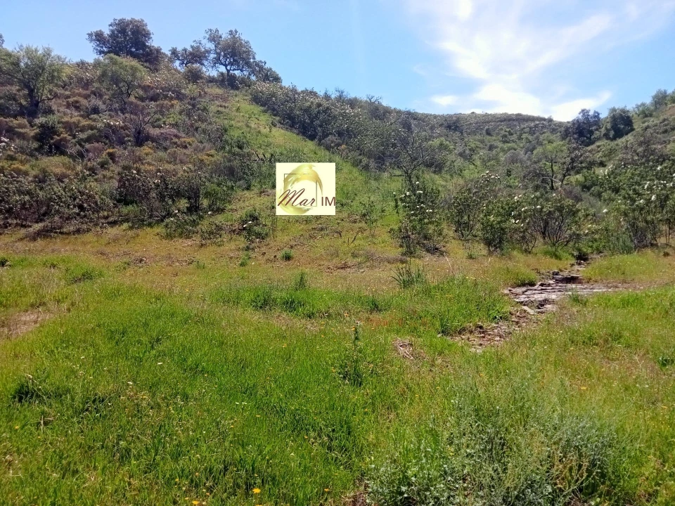 Terreno Agricola ou Rústico para Venda em Odeleite Foto 13