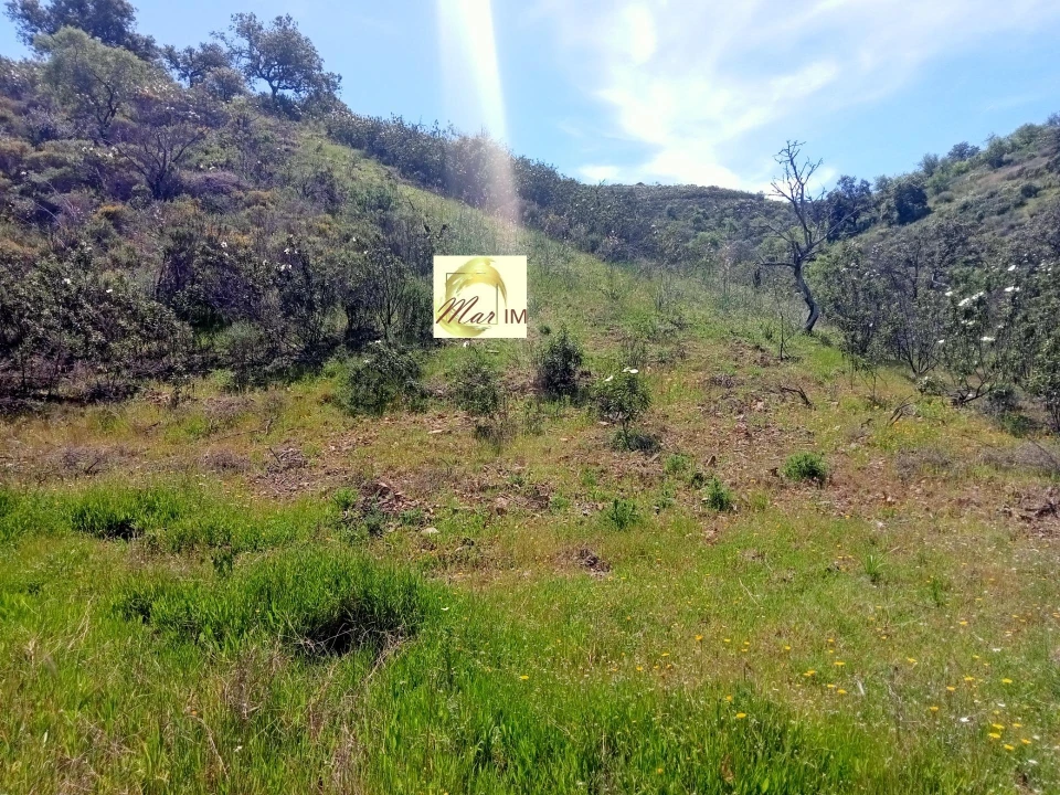 Terreno Agricola ou Rústico para Venda em Odeleite Foto 16
