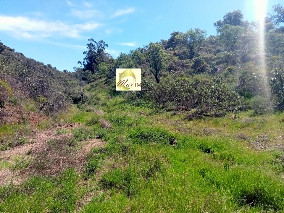Terreno Agricola ou Rústico para Venda em Odeleite Foto 17