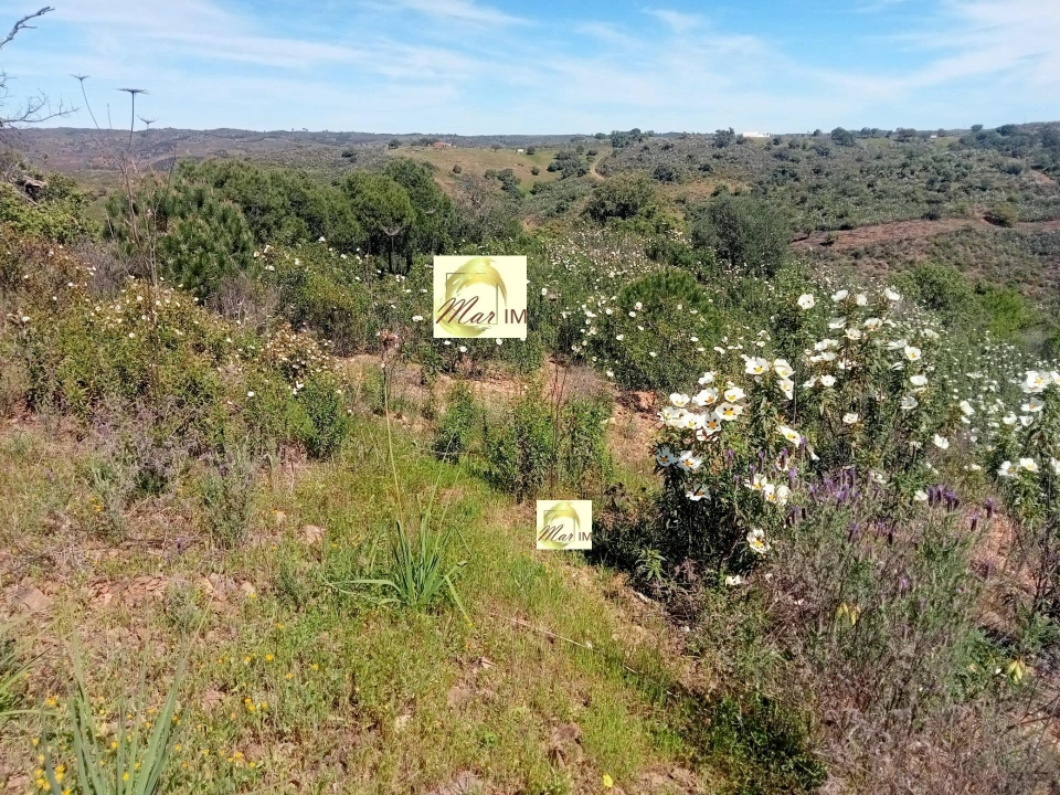 Terreno Agricola ou Rústico para Venda em Odeleite Foto 2