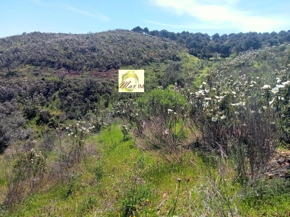 Terreno Agricola ou Rústico para Venda em Odeleite Foto 4