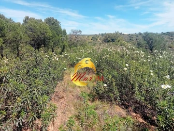 Terreno Agricola ou Rústico para Venda em Odeleite