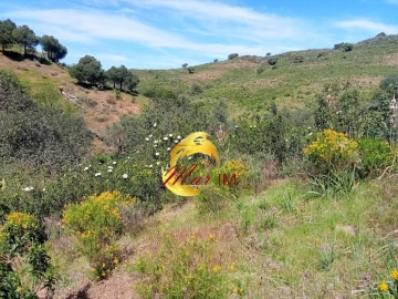 Terreno Agricola ou Rústico para Venda em Odeleite