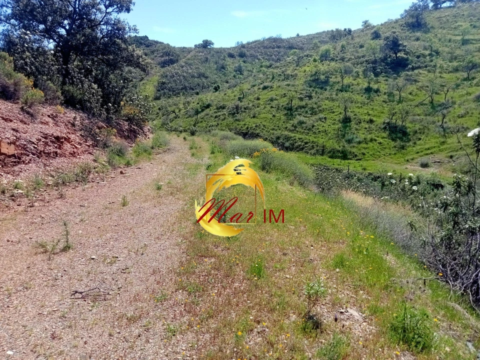 Terreno Agricola ou Rústico para Venda em Odeleite Foto 1