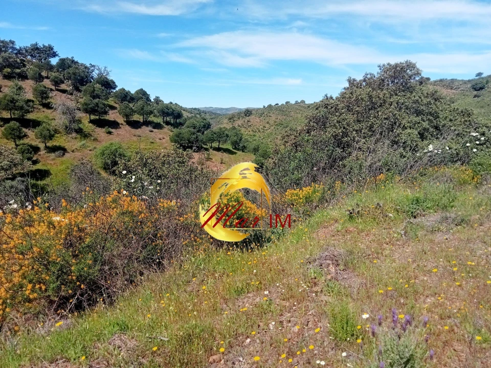 Terreno Agricola ou Rústico para Venda em Odeleite Foto 11