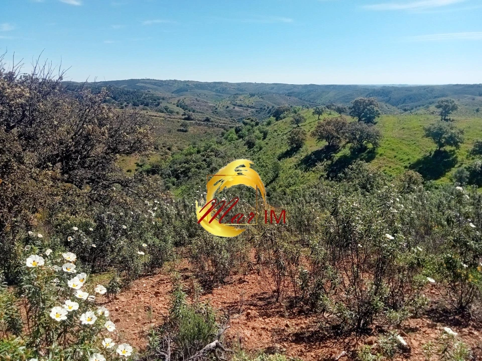 Terreno Agricola ou Rústico para Venda em Odeleite Foto 12
